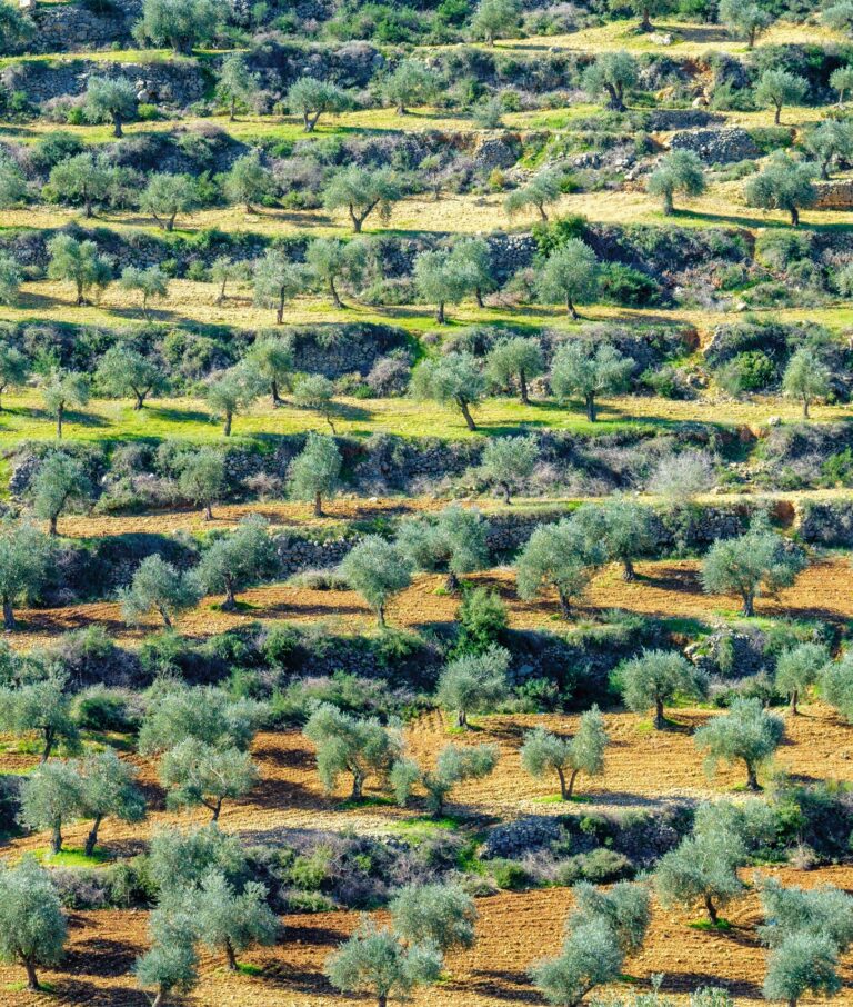 Verlorenes Land: Die Staatsgründung Israels ist der Ausgangspunkt der modernen palästinensischen Literatur. Ihre Themen sind seit Jahrzehnten dieselben: Herkunft und Identität, Heimat und Exil