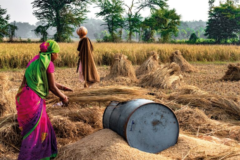 Erst das Wichtigste, dann das Klima: In reichen Ländern profilieren sich privilegierte Gruppen mit Klimapolitik. Dabei wäre das Geld viel besser eingesetzt, wenn auf der Welt zuerst Armut und Hunger gelindert würden