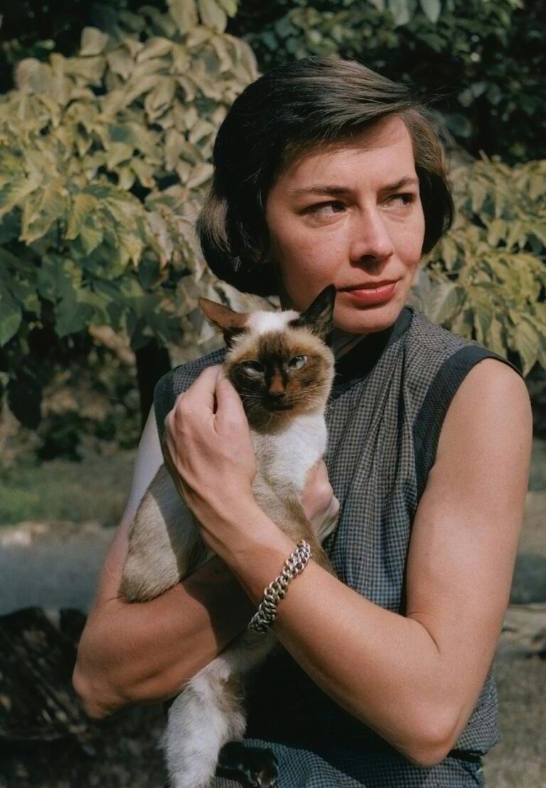 Ständig wandelbares Kunstwerk: Die legendäre Schriftstellerin Patricia Highsmith schreibt, weshalb die Hauskatze für uns unverzichtbar ist