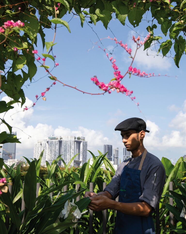 Utopie Singapur: Vor sechzig Jahren entwickelte die Finanzmetropole einen visionären Plan, heute verschmelzen dort städtische und natürliche Räume. Das macht die Stadt auch widerstandsfähiger gegen den Klimawandel