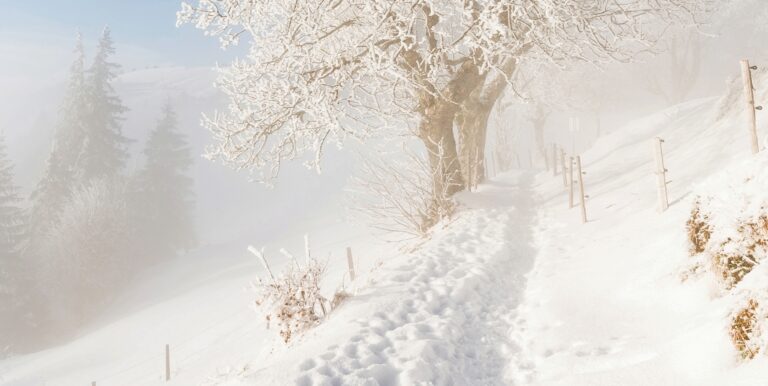 Der erste Schnee: Ich stand da wie ein kleines Kind, mit offenen Händen und einem Lächeln im ganzen Körper