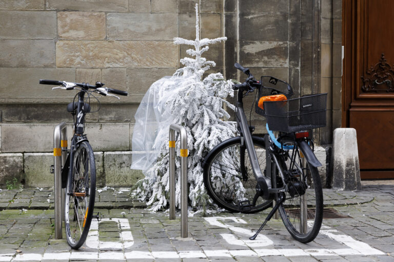 Une personne a depose son sapin de Noel sur le trottoir devant sa maison de la Ville-Ville pour que ce dernier soit debarrasse par les employes de la voirie de la ville, ce lundi 2 janvier 2023 a Geneve. (KEYSTONE/Salvatore Di Nolfi)