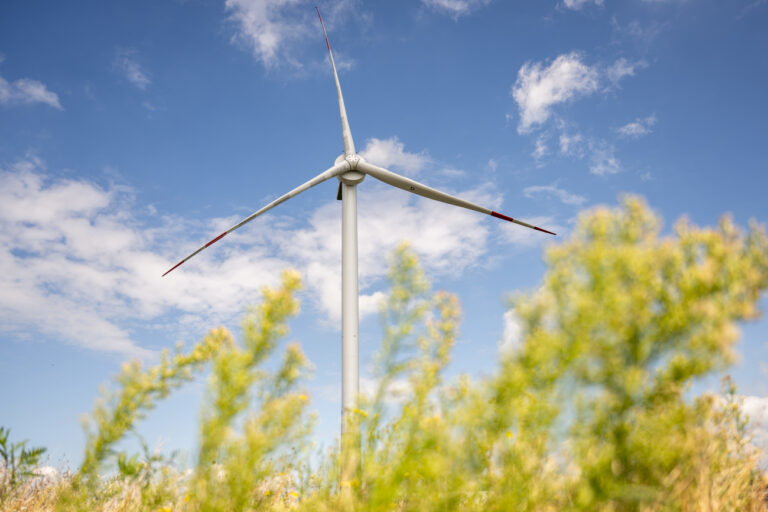 15.08.2023, Niedersachsen, Krummendeich: Windräder stehen im Windenergieforschungspark ·WiValdi· des Deutschen Zentrums für Luft- und Raumfahrt (DLR), der am 15.08.2023 eröffnet worden ist. Der Forschungspark Windenergie «Wivaldi» ist nach Angaben des DLR eine weltweit einzigartige Großforschungsanlage. Die Anlage ermöglicht Forschung im Originalmaßstab und unter realen Umweltbedingungen. Foto: Mohssen Assanimoghaddam/dpa +++ dpa-Bildfunk +++ (KEYSTONE/DPA/Mohssen Assanimoghaddam)