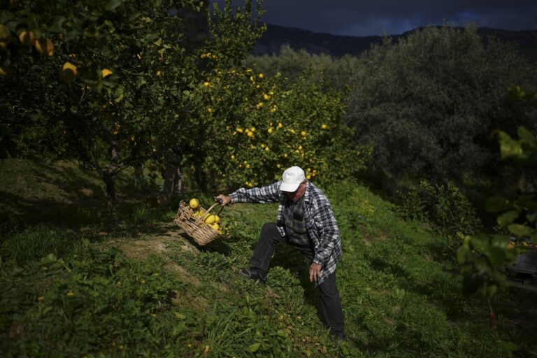 Kleine Endstation der grossen Sehnsüchte: Zwischen Marseille und Menton lag meine erste Wahlheimat, mein erstes geträumtes Dasein am Meer