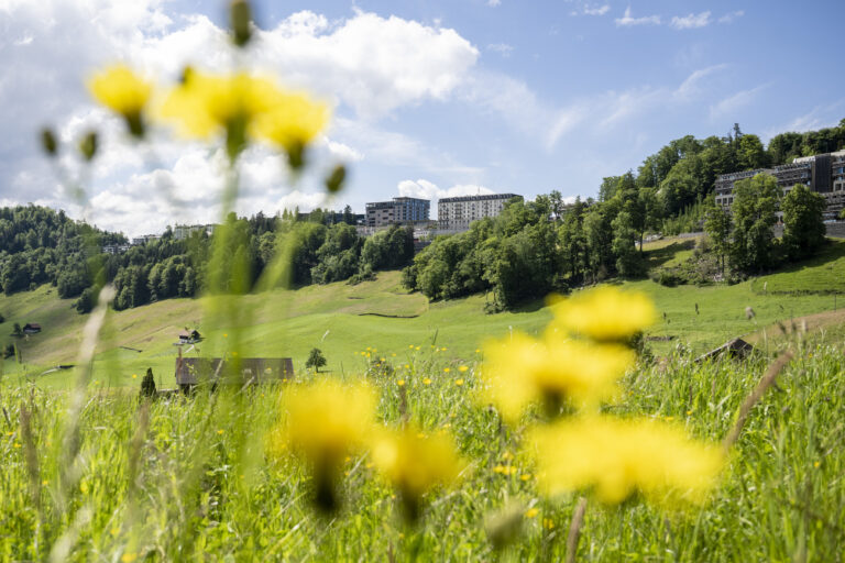 Die Landschaft mit vorwiegend Landwirtschaftlichen Betrieben auf der Hochebene von Obbuergen unterhalb des Buergenstock Resort, am Dienstag, 28. Mai 2024 auf dem Buergenstock. Am Wochenende vom 15. und 16. Juni 2024 findet auf dem Buergenstock im Kanton Nidwalden ein Gipfeltreffen zum Frieden in der Ukraine statt. Die Schweiz hat ueber 160 Delegationen hoch ueber dem Vierwaldstaettersee eingeladen. (KEYSTONE/Urs Flueeler).