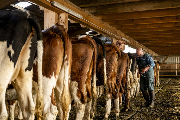 <em>Tages-Anzeiger</em> schlägt Alarm: Tierärzte führen die Selbstmord-Statistiken an. Der Grund ist wohl einfacher, als die Spekulationen meinen