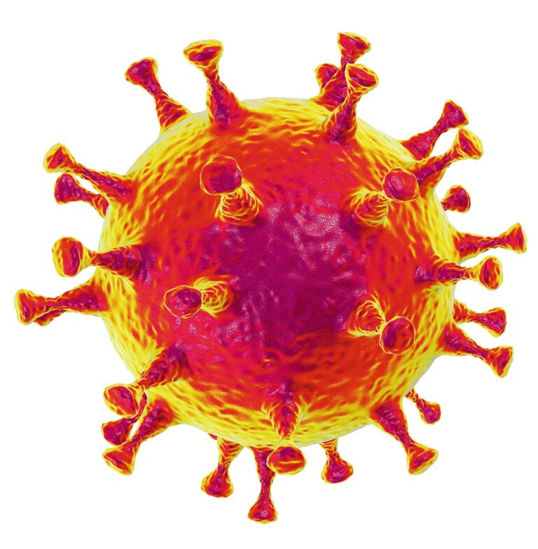 Coronavirus: Was jetzt zu tun ist