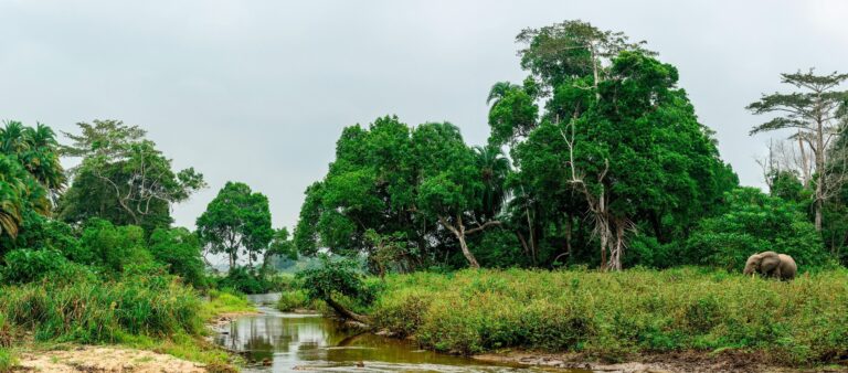 Naturschutz statt Menschenschutz