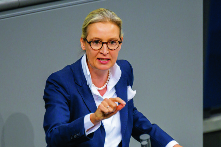 Liebe Alice Weidel