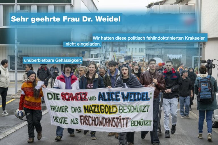 Demo gegen Weidel: Einsiedler Einheimische sind empört. Die linke Horde war «unerwünscht aufgetaucht»